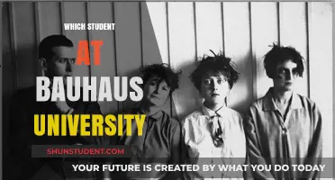Bauhaus University: Who Are the Students?