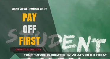 Student Loan Strategies: Which Debt to Pay First