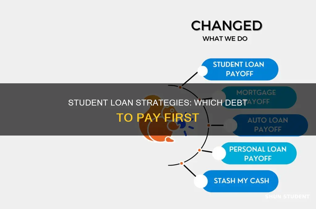 which student loan groups to pay off first
