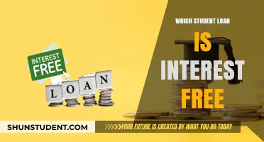 Discover Interest-Free Student Loan Options for Your Education
