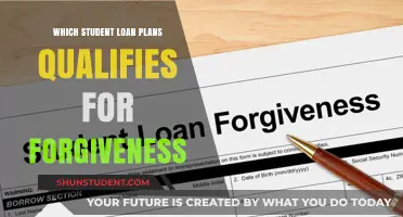 Student Loan Forgiveness: Which Repayment Plans Qualify for Relief?