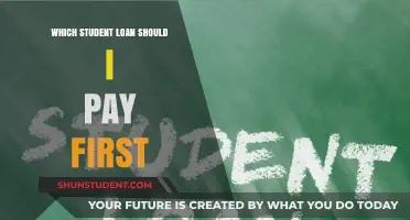 Student Loan Strategies: Which Debt to Target First?