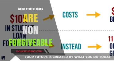 Non-Forgivable Student Loans: What Borrowers Need to Know