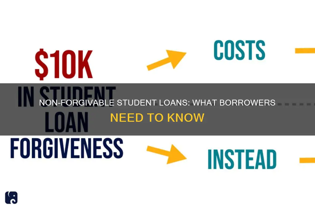 which student loans are non forgiveable