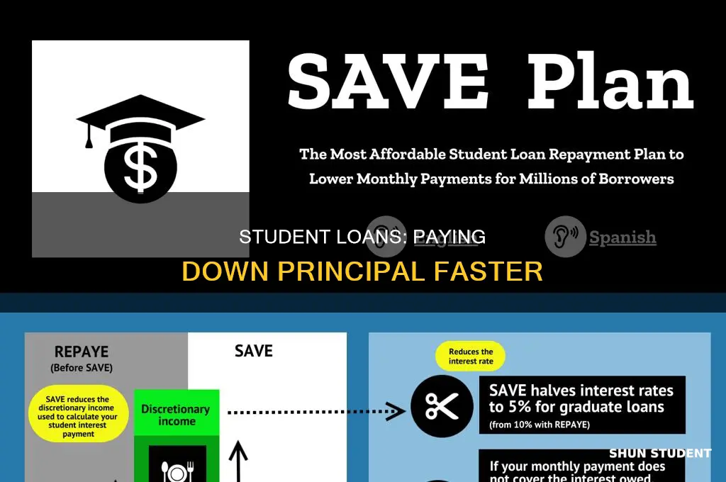 which student loans let you pay towards principle