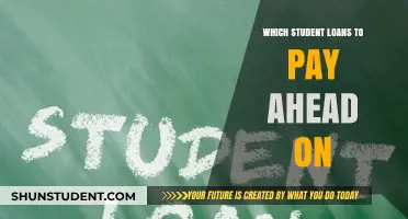 Student Loan Strategies: Which Loans to Pay First