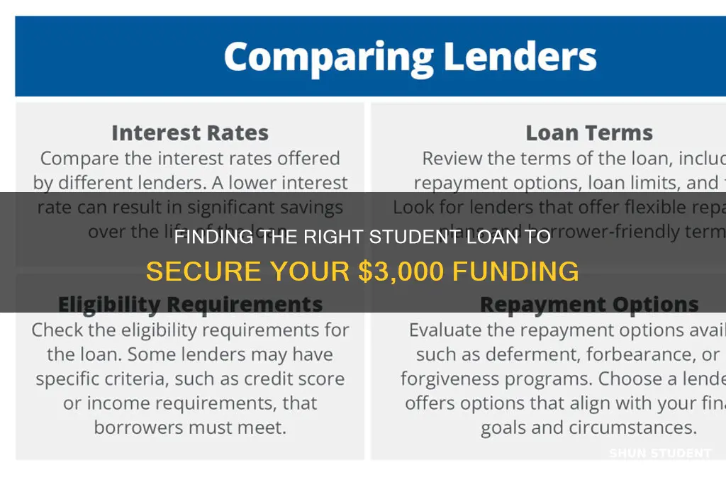 which student lon will give me 3000
