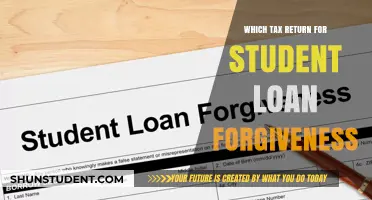 Student Loan Forgiveness: Choosing the Right Tax Return for Relief
