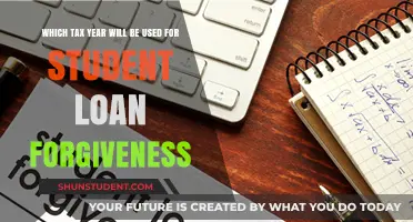 Understanding Tax Year Impact on Student Loan Forgiveness Eligibility