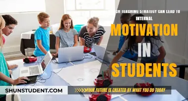 Strategies for Sparking Intrinsic Student Motivation