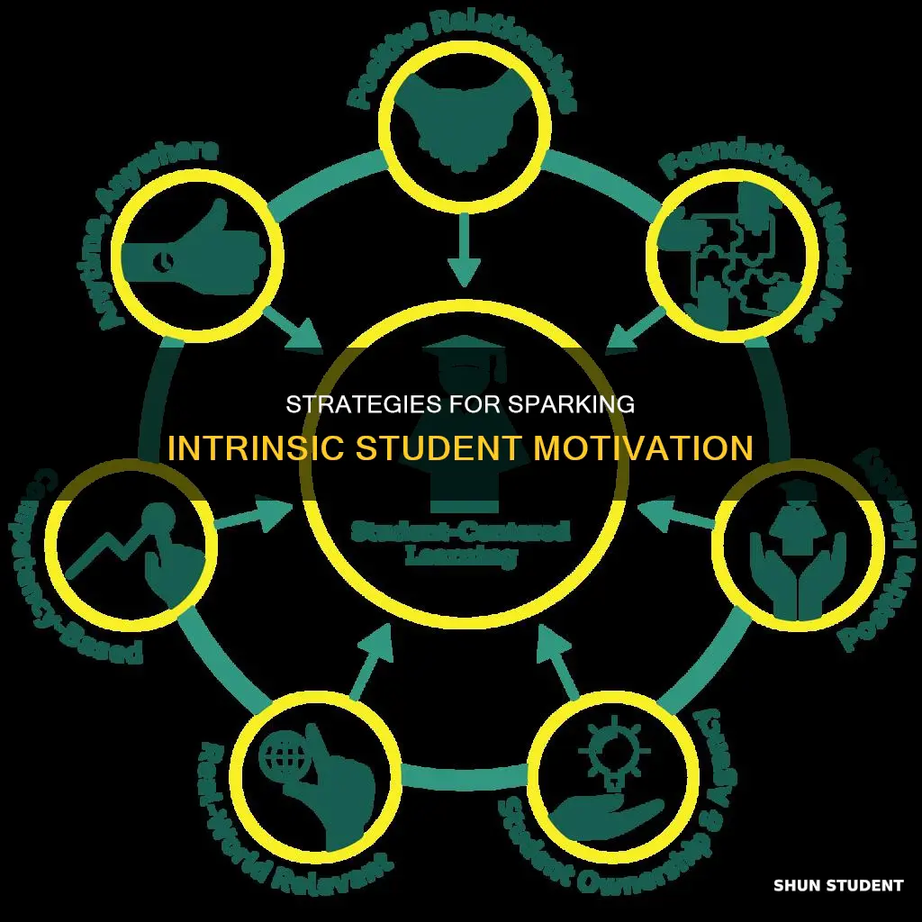 which teaching strategy can lead to internal motivation in students