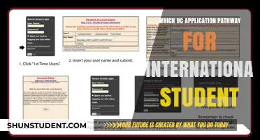 International Student UC Pathways: Which Route to Take?