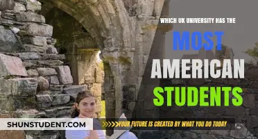 Unveiling the Top UK University for American Students