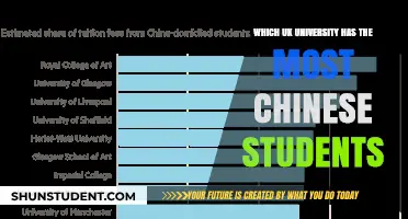 UK University Chinese Student Rankings: Top Choices Revealed