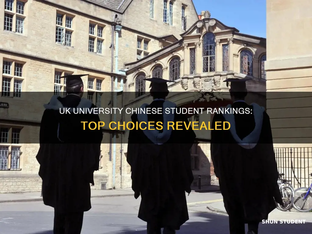 which uk university has the most chinese students