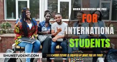 International Students: Where to Study for Free?