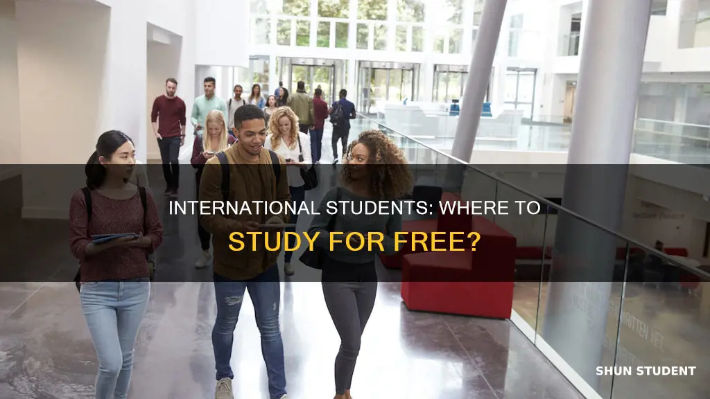 which universities are free for international students