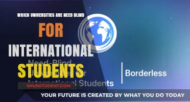 Top Need-Blind Universities for International Students
