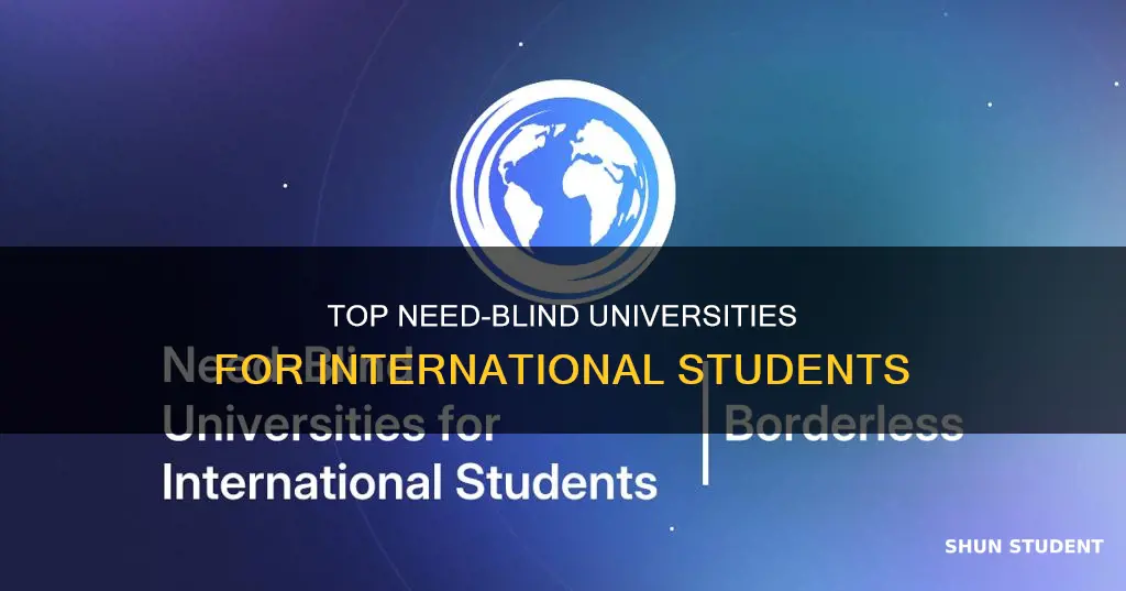 which universities are need blind for international students