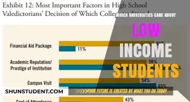 Low-Income Students: Which Colleges Truly Care?