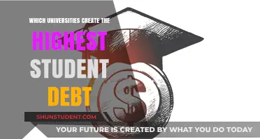 Debt-Laden Graduates: Unveiling the Top Universities for Student Loan Burden