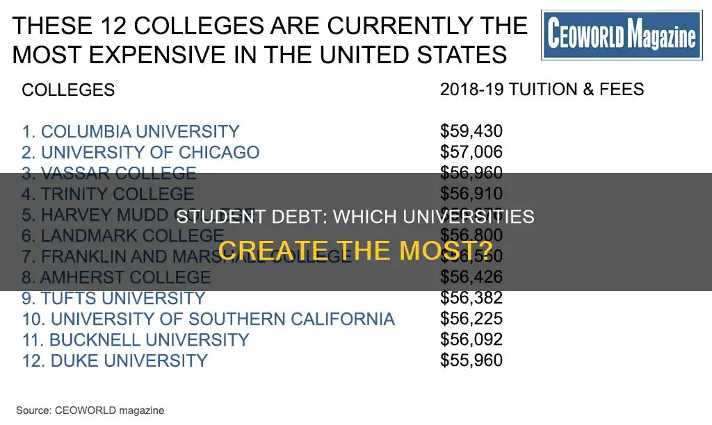 which universities create the highest student debt