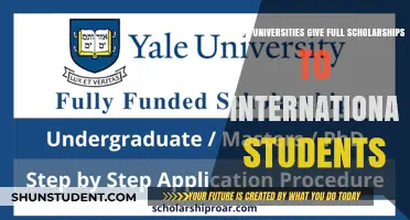 Full Scholarships: International Students' University Options