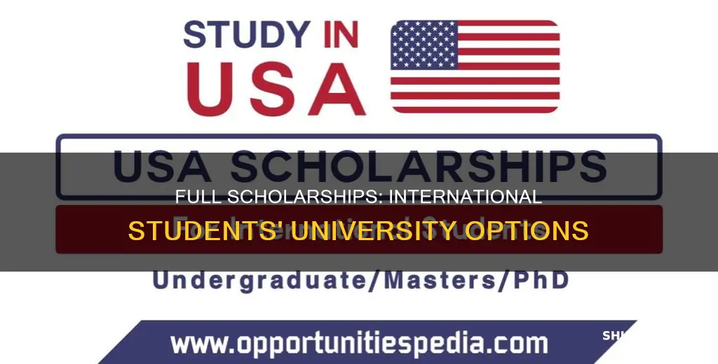 which universities give full scholarships to international students