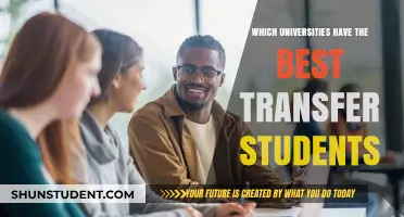 Unleash Your Potential: Top Universities for Transfer Students