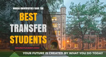 Transfer Students: Which Universities Offer the Best Opportunities?