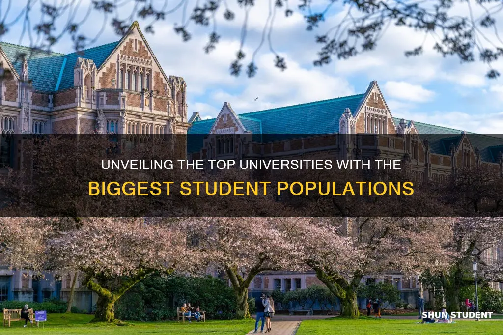 which universities have the largest student population