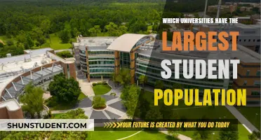 Top Universities with Largest Student Populations