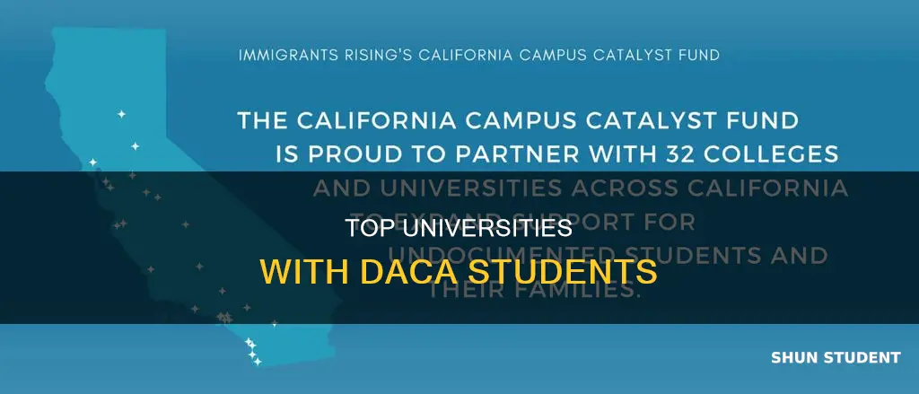which universities have the most daca students