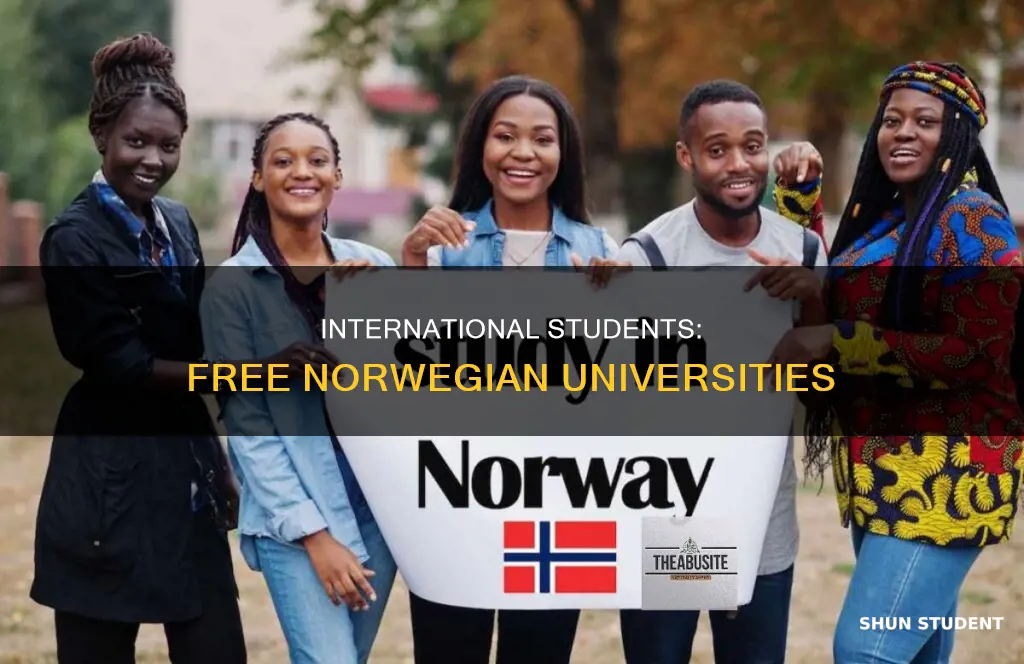which universities in norway are free for international students