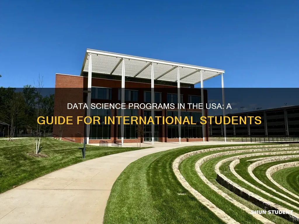 which universities offer data sciences in usa for international students