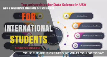 Best US Data Science Universities for International Students
