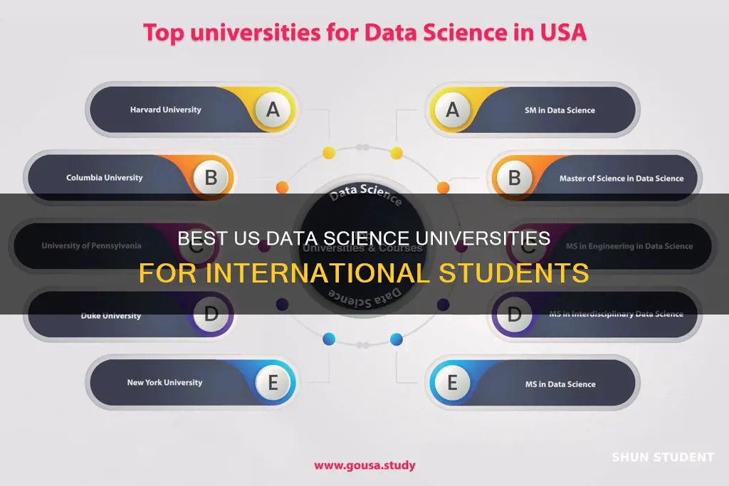 which universities offer data sciences in usa for international students