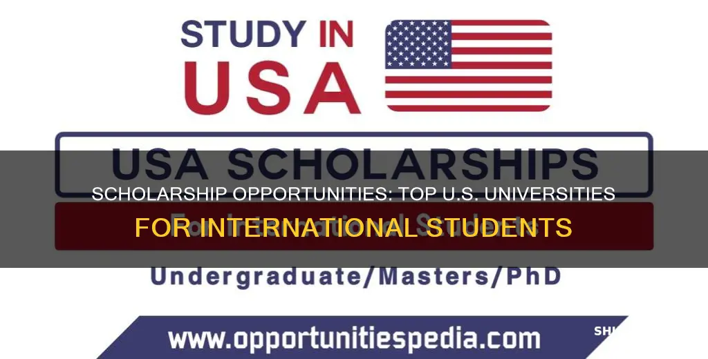 which universities offer most scholarships for international students in usa