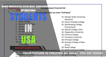 Top US Schools for International Students' Scholarships