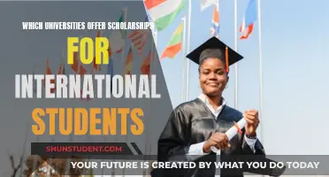 International Student Scholarships: University Options