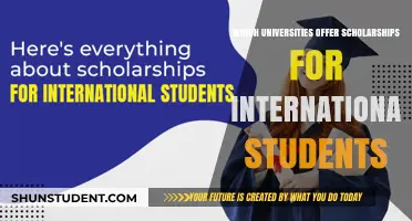 International Student Scholarships: Which Universities Offer Them?