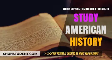 Uncover the American Past: Universities Demanding US History Study