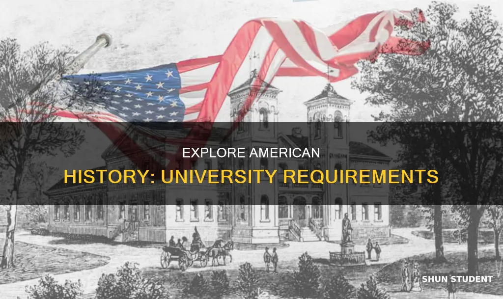 which universities require students to study american history