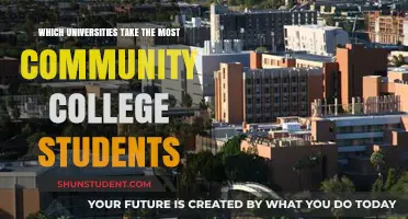 Community College Students: Top University Transfer Destinations