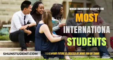 Top Global Universities Welcoming International Students