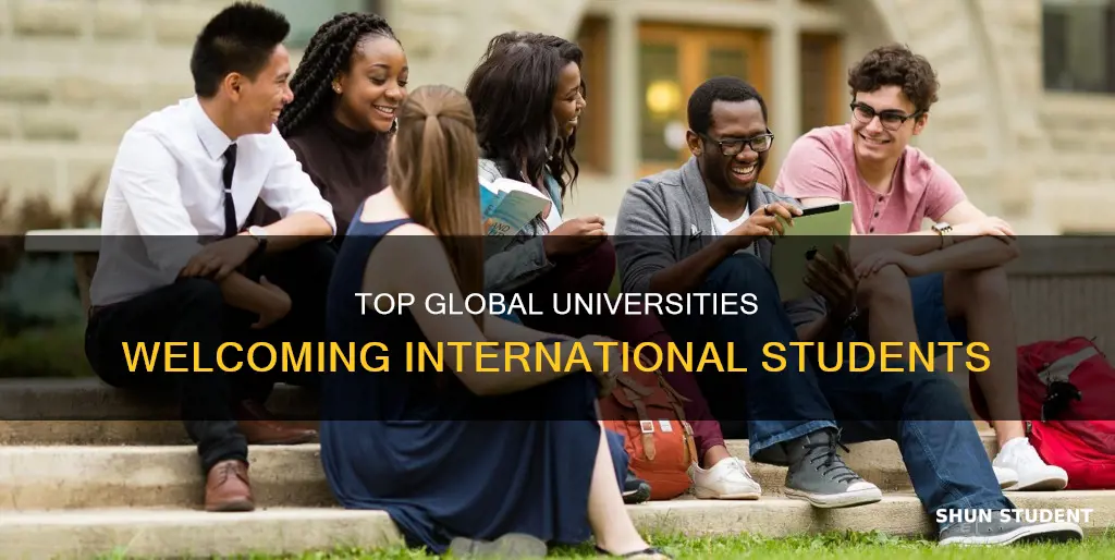 which university accepts the most international students