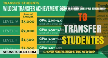 Transfer Student Full Scholarships: Which Universities Offer Them?