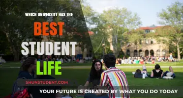 Unveiling the Ultimate Student Experience: A University Life Comparison