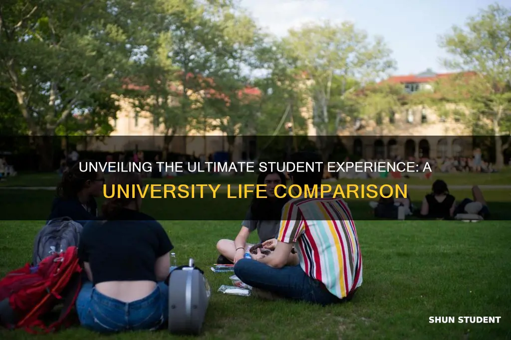 which university has the best student life