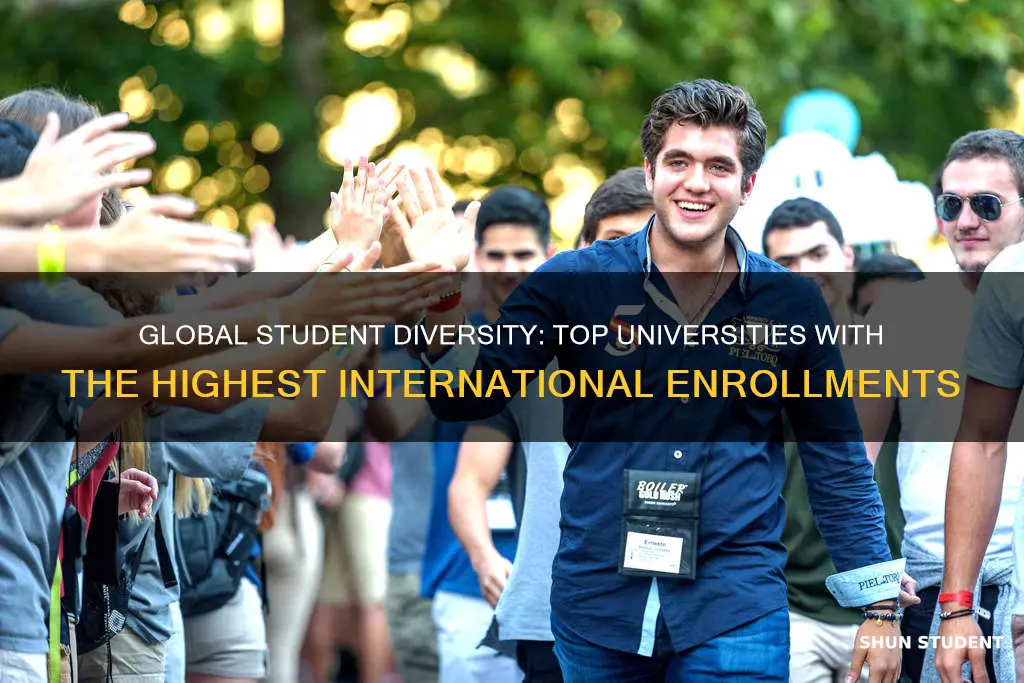 which university has the highest percentage of international students